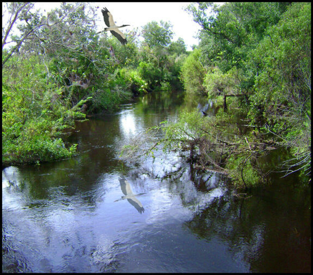 Water Mitigation at Peace River Preserve in DeSoto County Florida