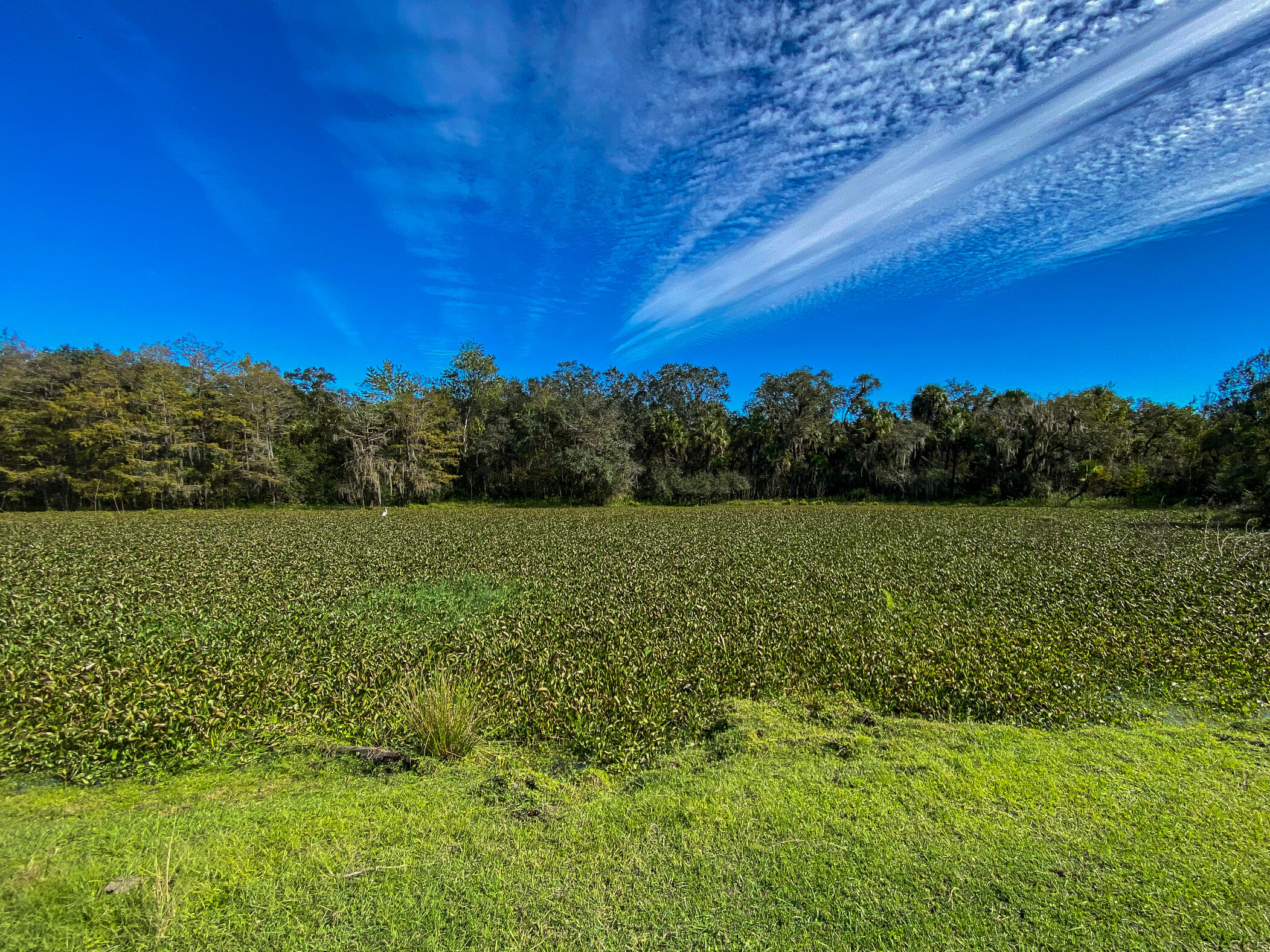 Home to the Peace River Preserve  Site